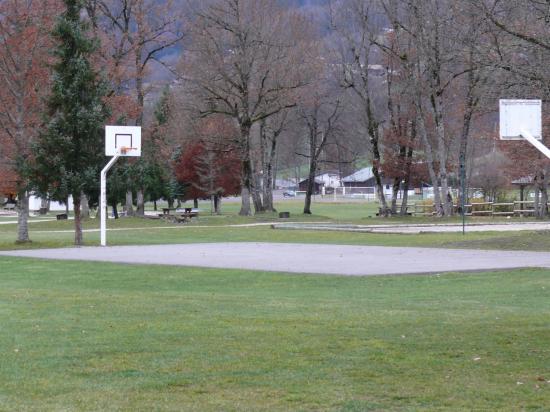 basket